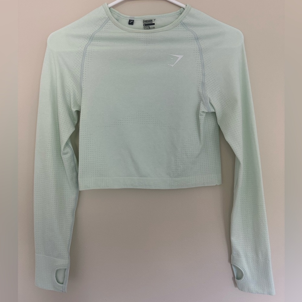 Long-sleeve Mint Fitted Workout Top